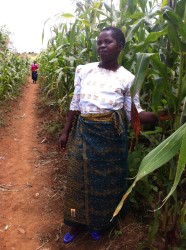 Woman showing her beautiful pigeon pea/maize crop!