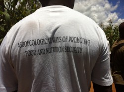 "Agroecological ways of promoting food and nutritional security" - our pretty cool T-Shirt