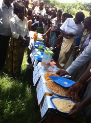 Farmers presenting samples of their invented recipes to be tasted using legumes, local maize and other crops promoted through MAFFA.