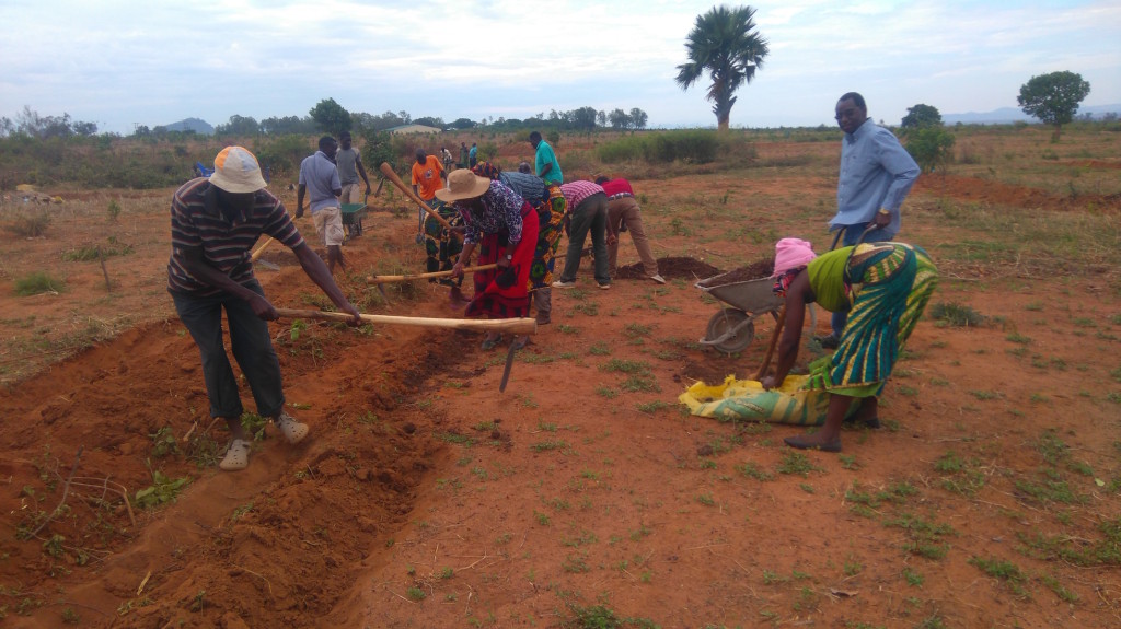 Pressings Moyo, Esther Lupafya, Esther Maona, Laifolo Dakishoni and other SFHC members build contour ridges and plant crops as part of their new permaculture-designed garden at the SFHC Centre.